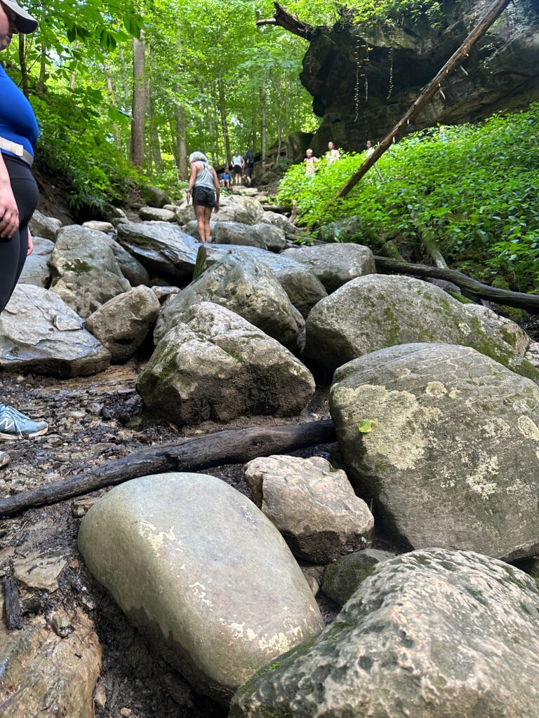 Rocks to climb up!